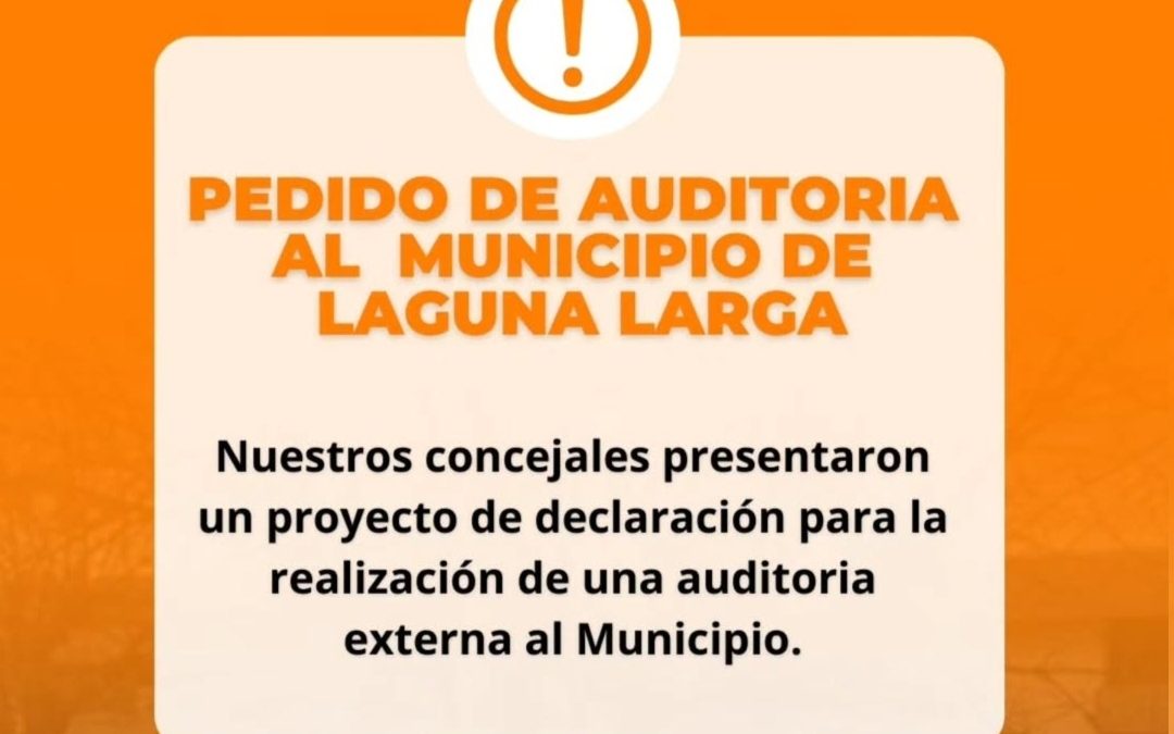 PEDIDO DE AUDITORIA DEL MUNICIPIO