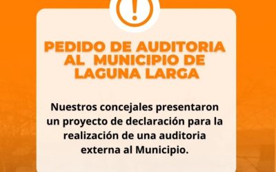 PEDIDO DE AUDITORIA DEL MUNICIPIO